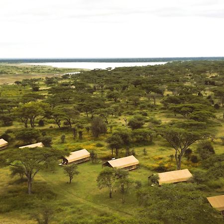 Africa Safari South Serengeti Ndutu Ngorongoro Sinoni Kültér fotó