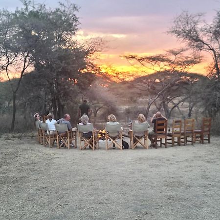 Africa Safari South Serengeti Ndutu Ngorongoro Sinoni Kültér fotó