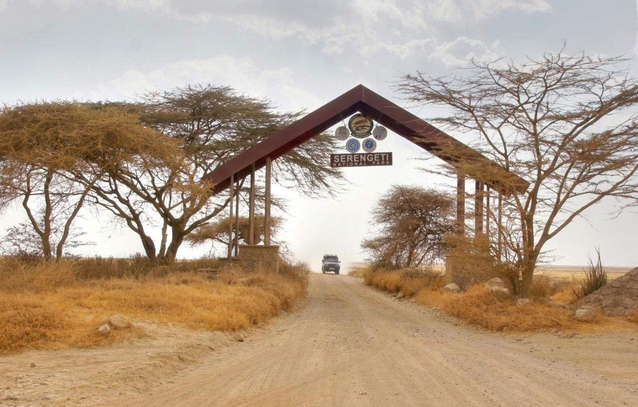 Africa Safari South Serengeti Ndutu Ngorongoro Sinoni Kültér fotó