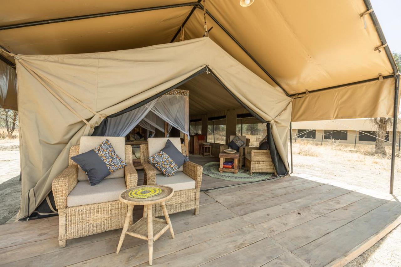 Africa Safari South Serengeti Ndutu Ngorongoro Sinoni Kültér fotó