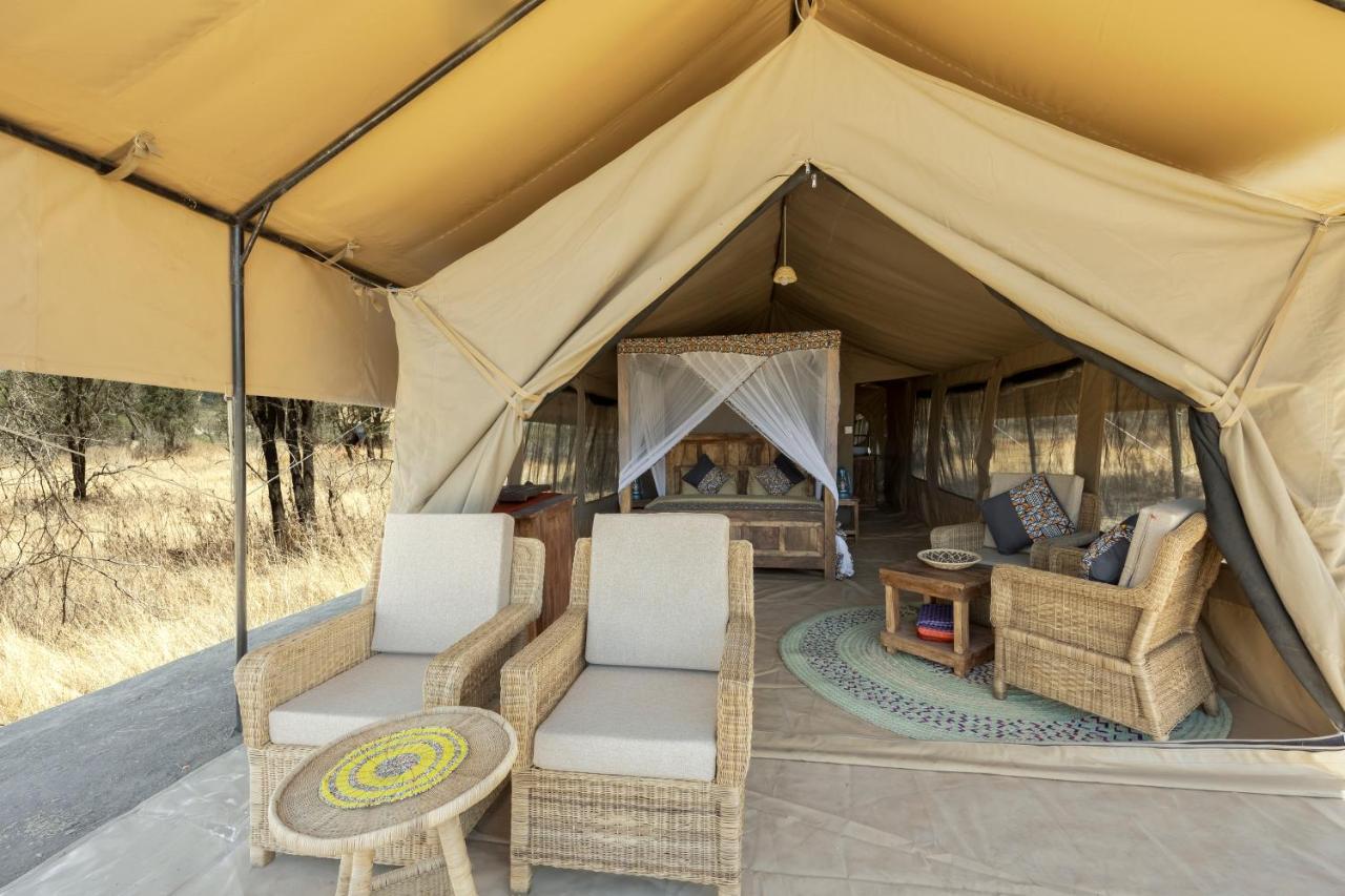 Africa Safari South Serengeti Ndutu Ngorongoro Sinoni Kültér fotó