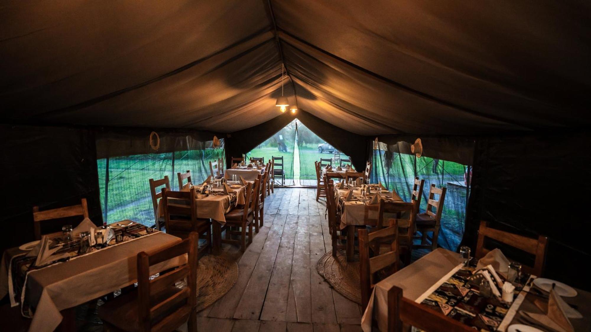 Africa Safari South Serengeti Ndutu Ngorongoro Sinoni Kültér fotó