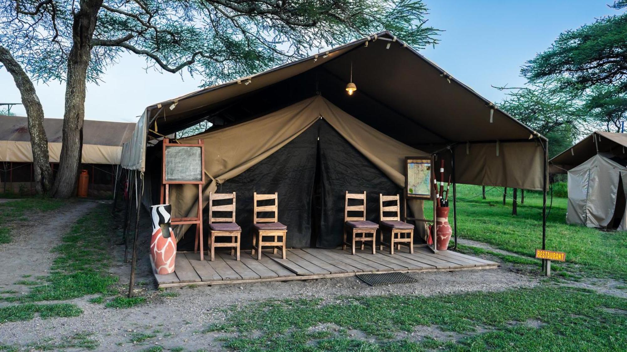 Africa Safari South Serengeti Ndutu Ngorongoro Sinoni Kültér fotó