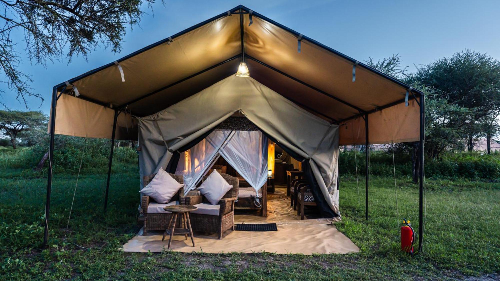 Africa Safari South Serengeti Ndutu Ngorongoro Sinoni Kültér fotó