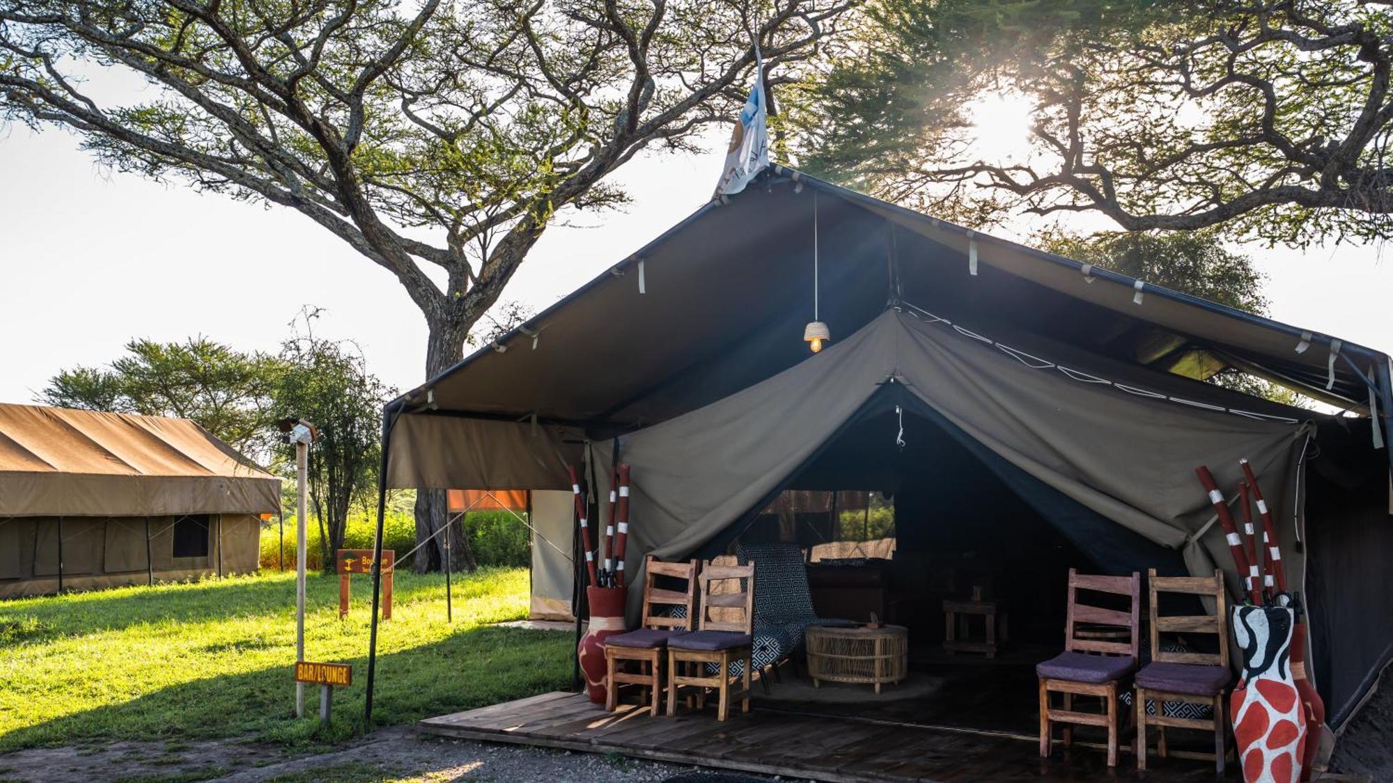 Africa Safari South Serengeti Ndutu Ngorongoro Sinoni Kültér fotó