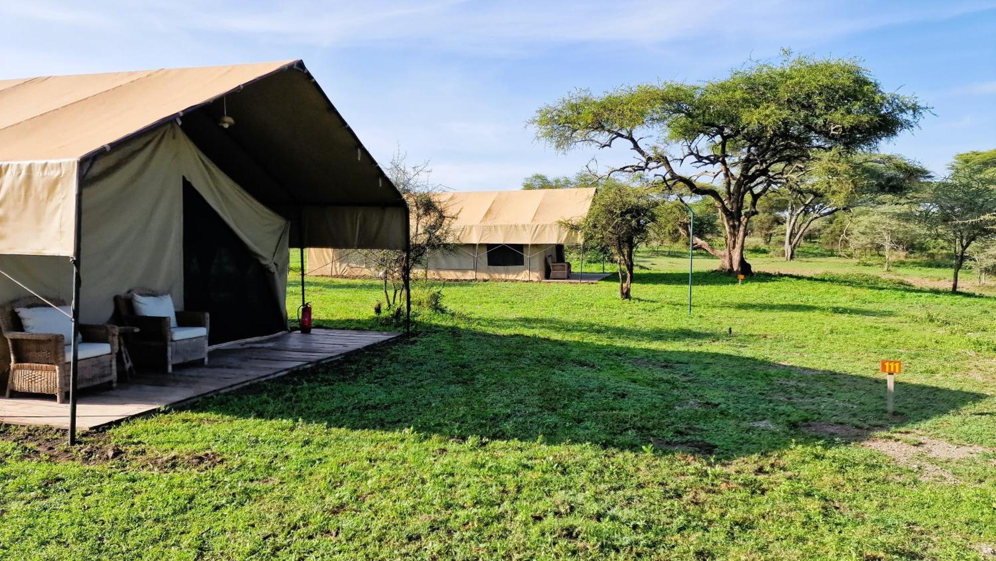 Africa Safari South Serengeti Ndutu Ngorongoro Sinoni Kültér fotó