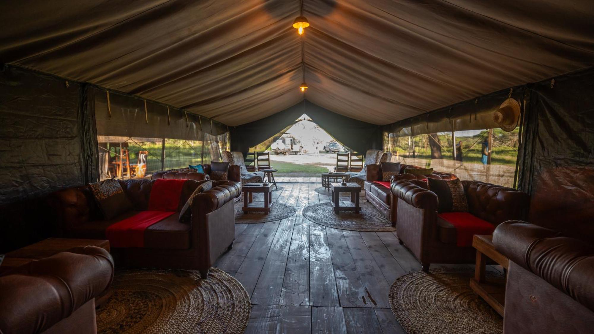 Africa Safari South Serengeti Ndutu Ngorongoro Sinoni Kültér fotó