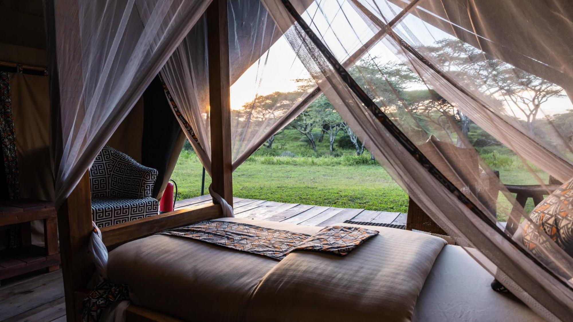Africa Safari South Serengeti Ndutu Ngorongoro Sinoni Kültér fotó