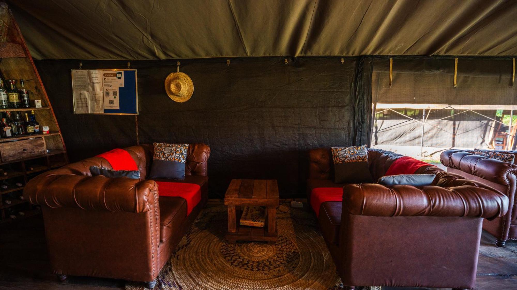 Africa Safari South Serengeti Ndutu Ngorongoro Sinoni Kültér fotó