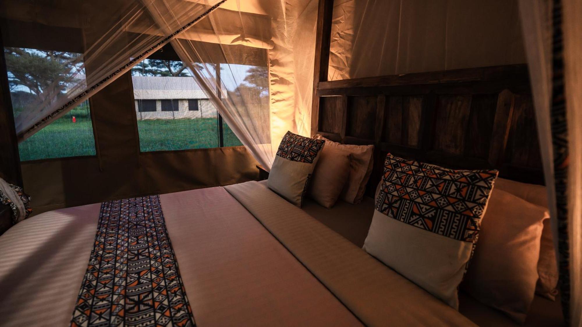 Africa Safari South Serengeti Ndutu Ngorongoro Sinoni Kültér fotó