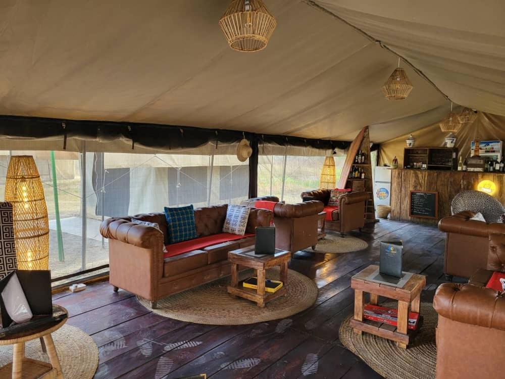 Africa Safari South Serengeti Ndutu Ngorongoro Sinoni Kültér fotó