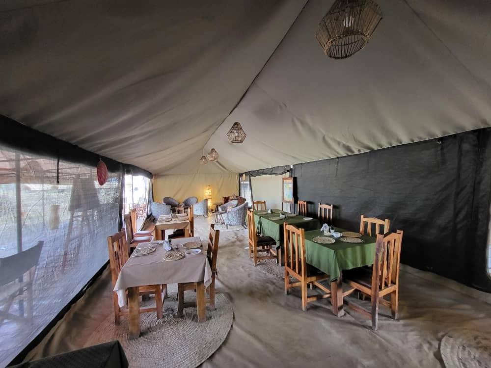 Africa Safari South Serengeti Ndutu Ngorongoro Sinoni Kültér fotó